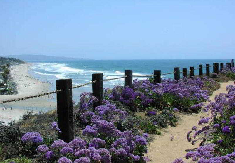 Residence Inn San Diego Del Mar Kültér fotó